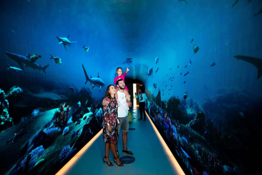 Dubai: The View At The Palm Observatory Entry Ticket - Who will enjoy The View most