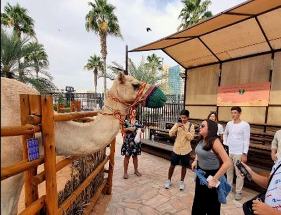 Dubai: Top Must-See Sights Tour with Burj Khalifa At The Top - Gold, spice, textile, and perfume souks