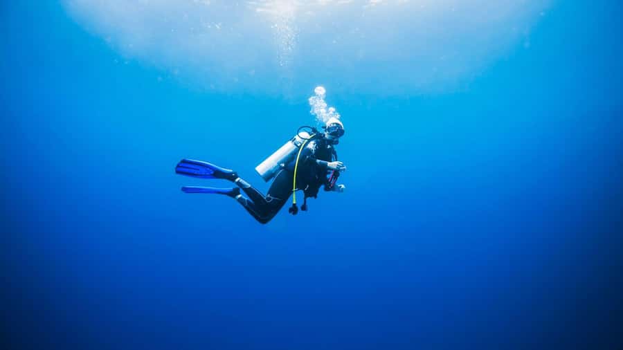 Dubai: VIP Private Scuba Dive with Free Hotel Transfer - What Happens at Bermuda Diving Center