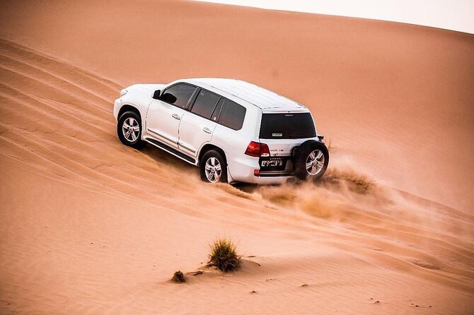 Dubia 4x4 Dune Bashing, Sandboarding, Camel Riding and Bbq Dinner - A camel farm and the quieter side of the desert