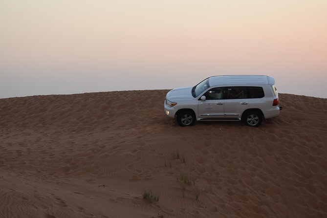 Dune Bashing with Quad Bike and Sand Boarding from Dubai - Choosing a quad bike or dune buggy
