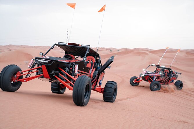 Dune Buggy Experience and Dinner at Mleiha Archaeological Center - Starting slowly with a camel ride