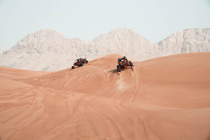 Dune Buggy Experience and Dinner at Mleiha Archaeological Center - Sandboarding on the tall dunes