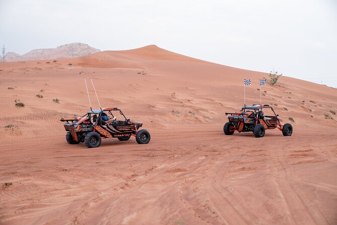 Dune Buggy Experience & Fossil Discovery in Mleiha National Park - What the two-hour schedule means