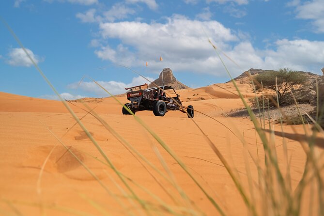 Dune Buggy & Private Dinner in the Dunes in Mleiha National Park - Private dinner under the Mleiha stars