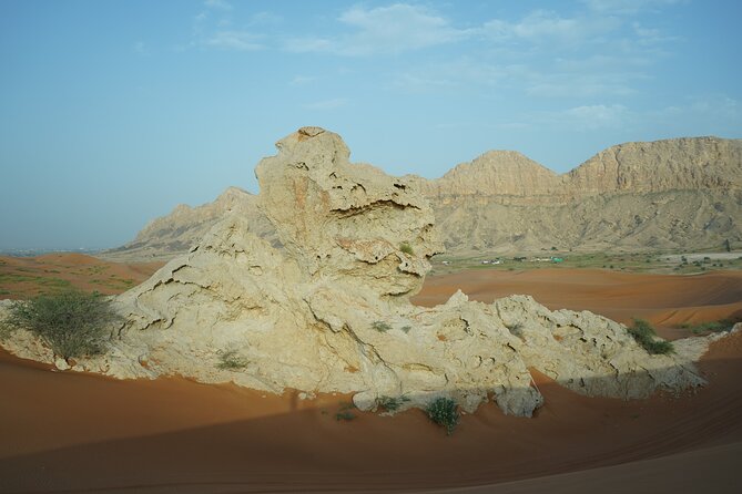 Dune Buggy & Private Dinner in the Dunes in Mleiha National Park - Who should choose this outing?