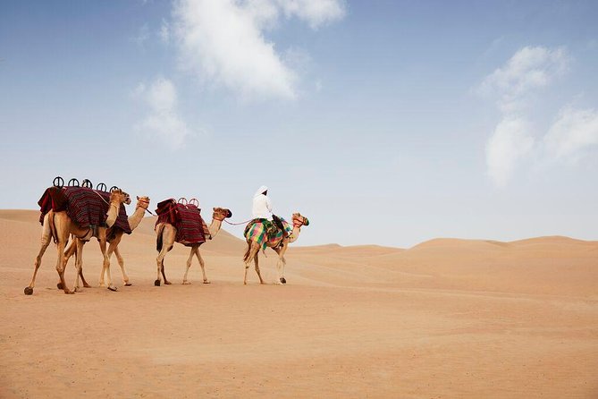 Evening Abu Dhabi Desert Safari & BBQ Dinner- Standard Tour - The quiet hour under the stars