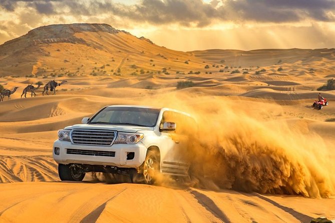 Evening Desert Adventure: Quad Biking, Sandboarding & Camel Ride - A short camel ride with a traditional feel