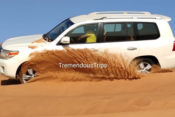 Evening Desert Safari - How the guides affect the day
