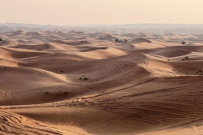 Evening Desert Safari Abu Dhabi with Dinner - BBQ dinner under the desert sky