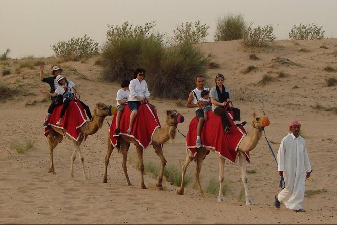 Evening Desert Safari Abu Dhabi with Dinner - The dune drive and sunset stop
