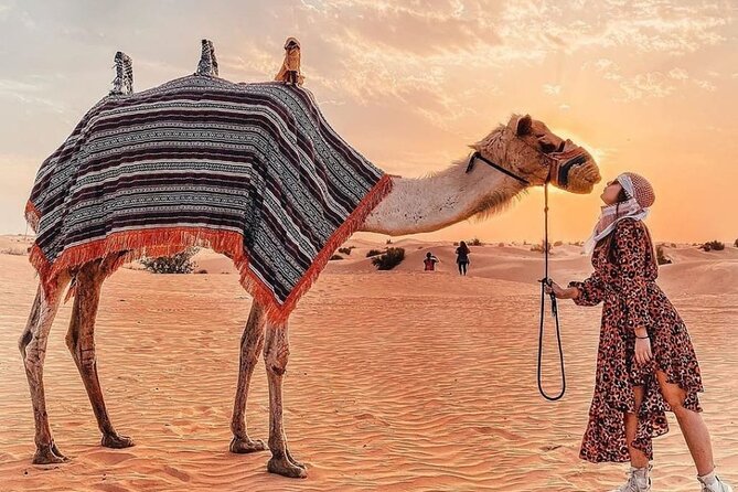 Evening Desert Safari & BBQ With Live Shows,Camel Ride,Falcon pic - BBQ dinner and unlimited soft drinks