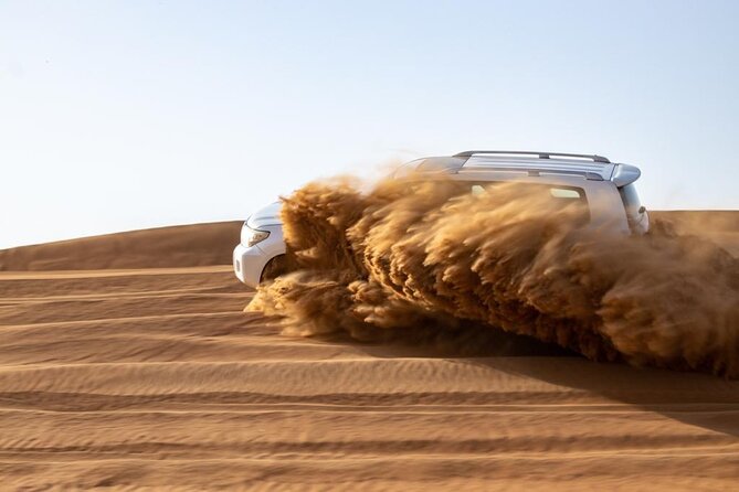 Evening Desert Safari & BBQ With Live Shows,Camel Ride,Falcon pic - Guides can shape the whole day