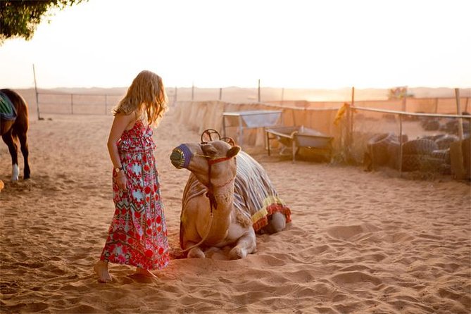 Evening Desert Safari Dubai with BBQ Dinner (Pick Up By Bus) - Key points at a glance