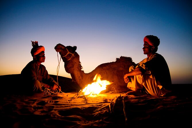 Evening Desert Safari in Dubai - A full desert evening for one reasonable price