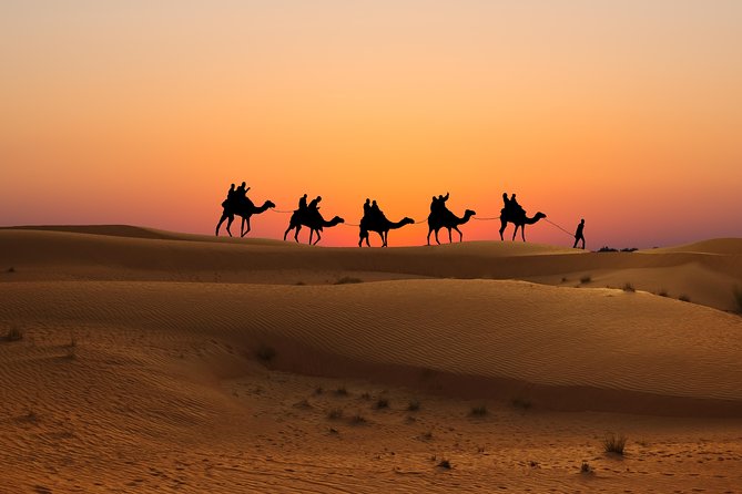 Evening Desert Safari in Dubai, Sandboard & BBQ Dinner - The value of $66.70 per person