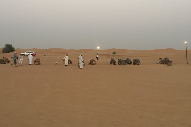 Evening Desert Safari Tour With Live Enterterment And BBQ Dinner - The guides are an important part of the value