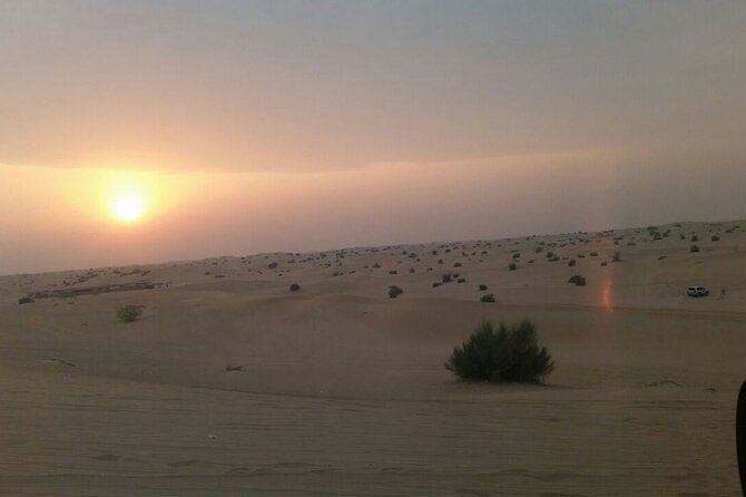Evening Desert Safari Tour With Live Enterterment And BBQ Dinner - The main 4x4 ride across the dunes