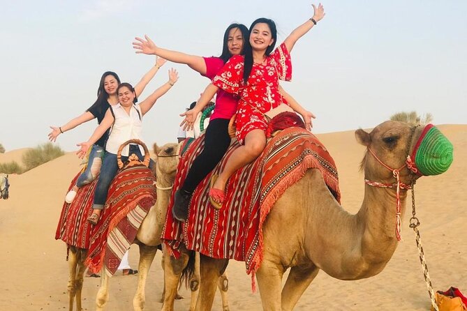 Evening Desert Safari Tours - What the $54.10 price really covers