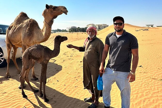 Evening Desert Safari Tours - Who will enjoy this safari most