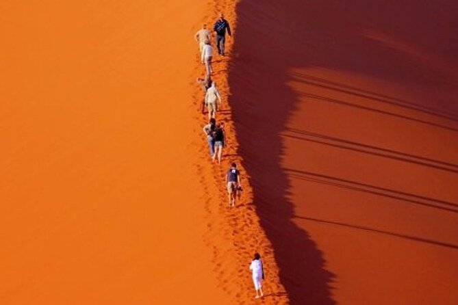 Evening Desert Safari with Belly Dance and BBQ Dinner and Camel Ride - Practical Details Before You Book