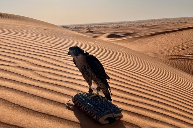 Evening Dubai Desert Safari, Red Sand, Premium camp shows & Diner - Buffet dinner and live BBQ