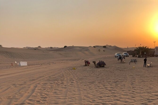 Exhilarating Desert Safari, Including BBQ Dinner from Dubai - Who will enjoy this desert safari most