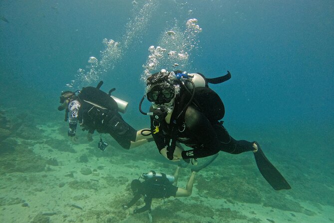 From Abu Dhabi: 2 Dives for Certified Divers in Fujairah - Key points to know before you book