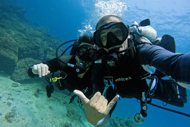 From Abu Dhabi: 2 Dives for Certified Divers in Fujairah - A 6:00 am start from Abu Dhabi