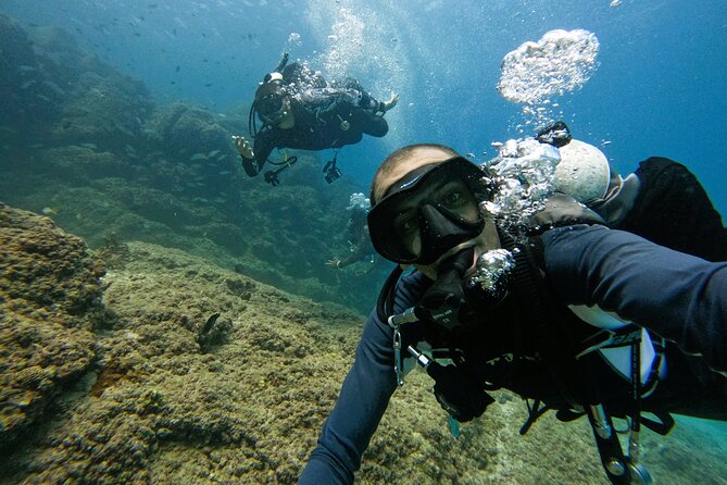 From Abu Dhabi: 2 Dives for Certified Divers in Fujairah - What you may see beneath Fujairah’s East Coast waters
