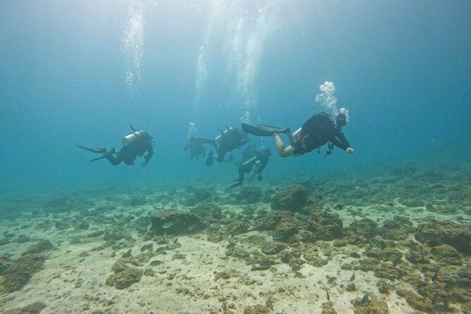 From Abu Dhabi: 2 Dives for Certified Divers in Fujairah - The road to Fujairah is part of the experience
