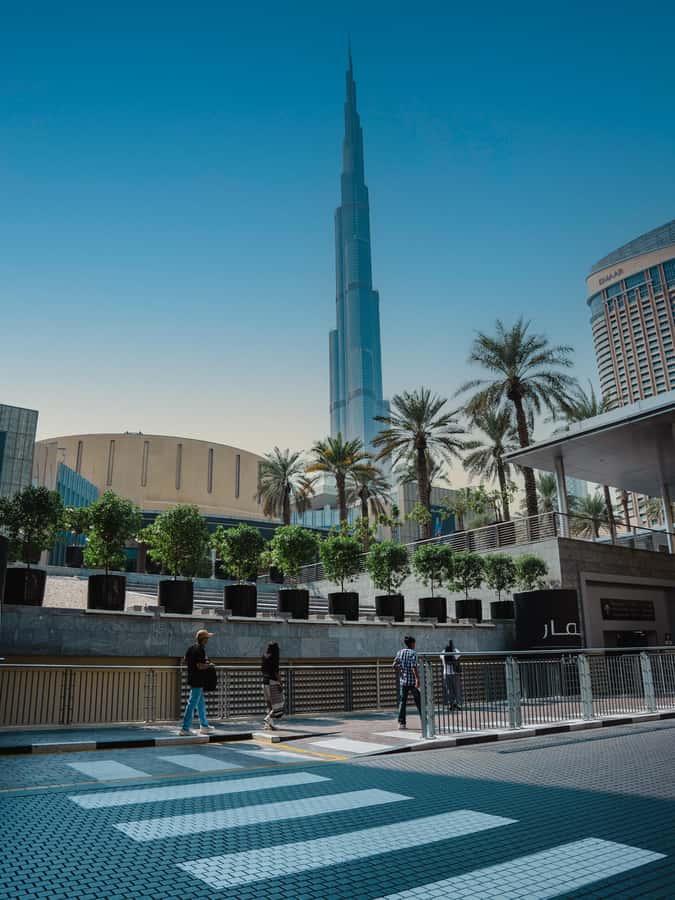 From Abu Dhabi: Dubai Full-Day Sightseeing Tour - The Museum of the Future and Dubai Frame pass by