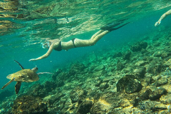 From Abu Dhabi: Snorkeling with Turtles in Fujairah with BBQ - Snoopy Island and Sharm Rocks: what the sea time is like