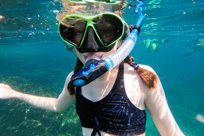 From Abu Dhabi: Snorkeling with Turtles in Fujairah with BBQ - The boat and the practical comforts