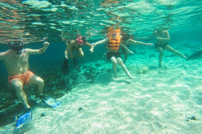 From Abu Dhabi: Snorkeling with Turtles in Fujairah with BBQ - BBQ lunch at the Reef Oasis center