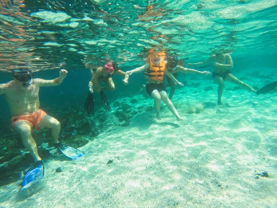 From Abu Dhabi: Snorkeling with Turtles in Fujairah with BBQ - Should you book this Fujairah snorkeling tour?