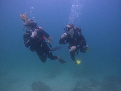 2 Dives for Certified Divers with BBQ & Transfer