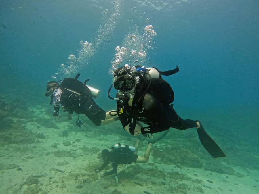 From Dubai: 2 Dives for Certified Divers with BBQ & Transfer - BBQ lunch at Reef Oasis