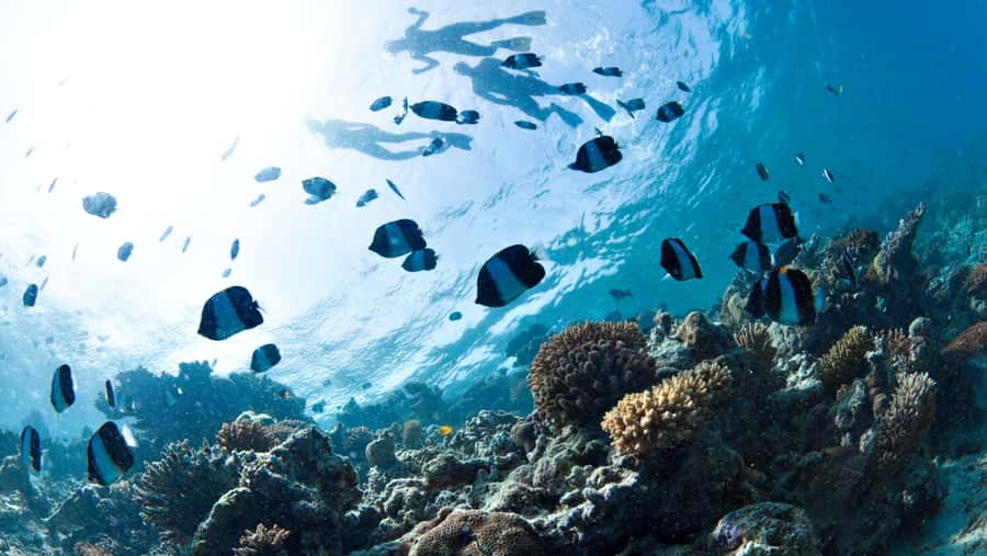 From Dubai: Discovery Scuba Diving & Snorkeling In Fujairah - The road from Dubai to Dibba