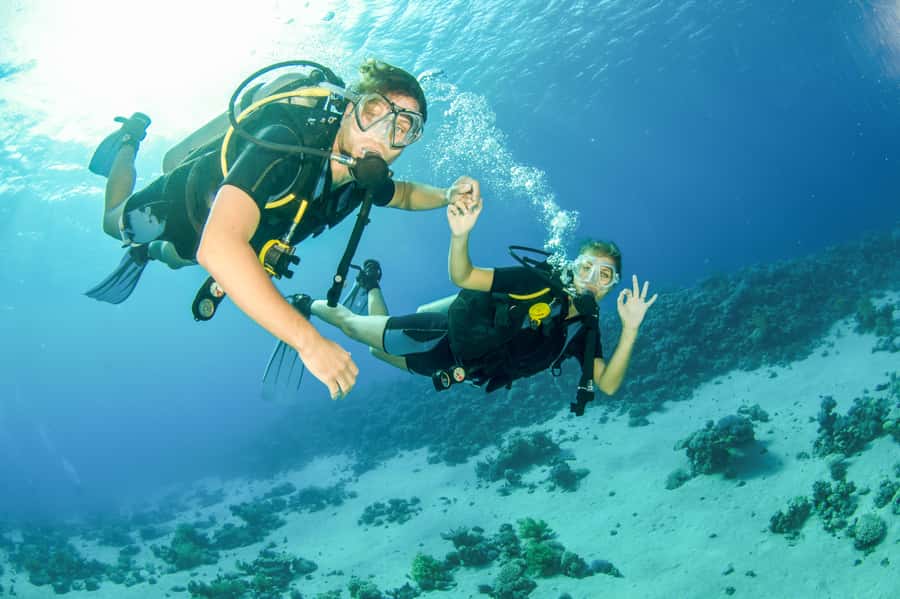 From Dubai: Fujairah Half-Day Scuba Dive and Snorkeling - Reaching the reef by boat