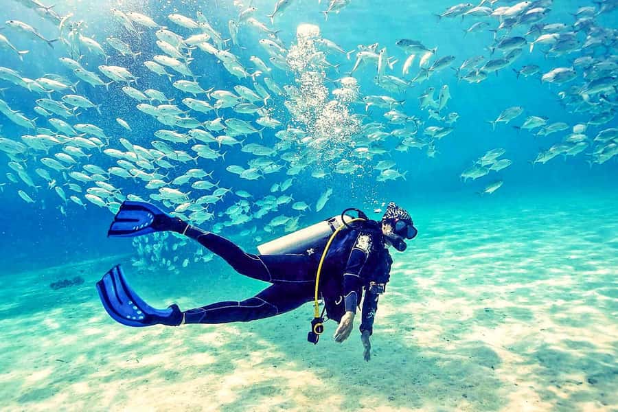 From Dubai: Fujairah Half-Day Scuba Dive and Snorkeling - Arrival, equipment, and the first safety briefing