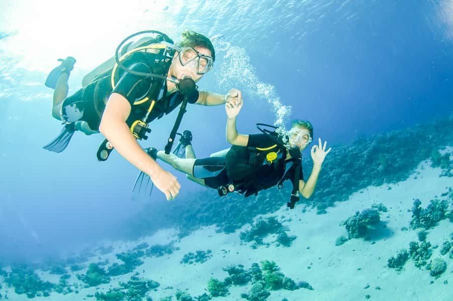 From Dubai: Fujairah Scuba Dive and Snorkeling - From Dubai to Fujairah, the day starts early