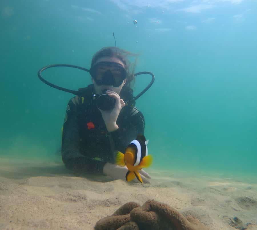From Dubai: Fujairah Scuba Dive and Snorkeling - Two underwater sessions with a certified guide