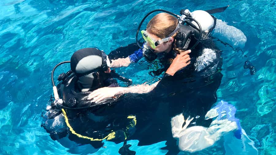 From Dubai: Fujairah Scuba Dive and Snorkeling - What the Fujairah coast can offer underwater