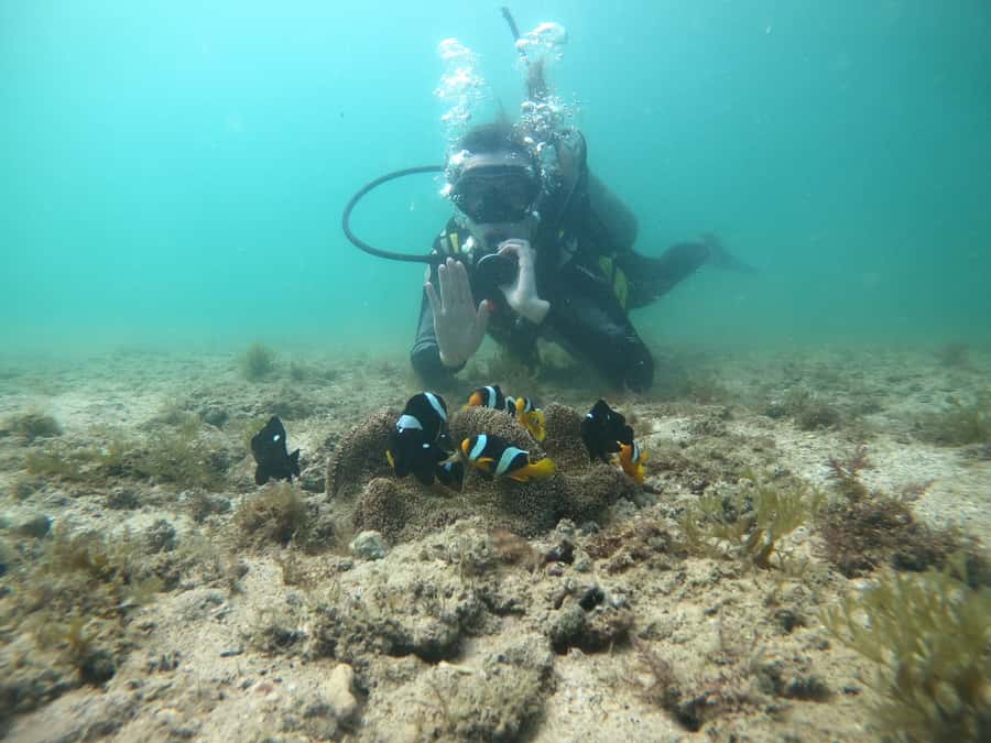From Dubai: Fujairah Scuba Dive and Snorkeling - The return to shore and the long ride back