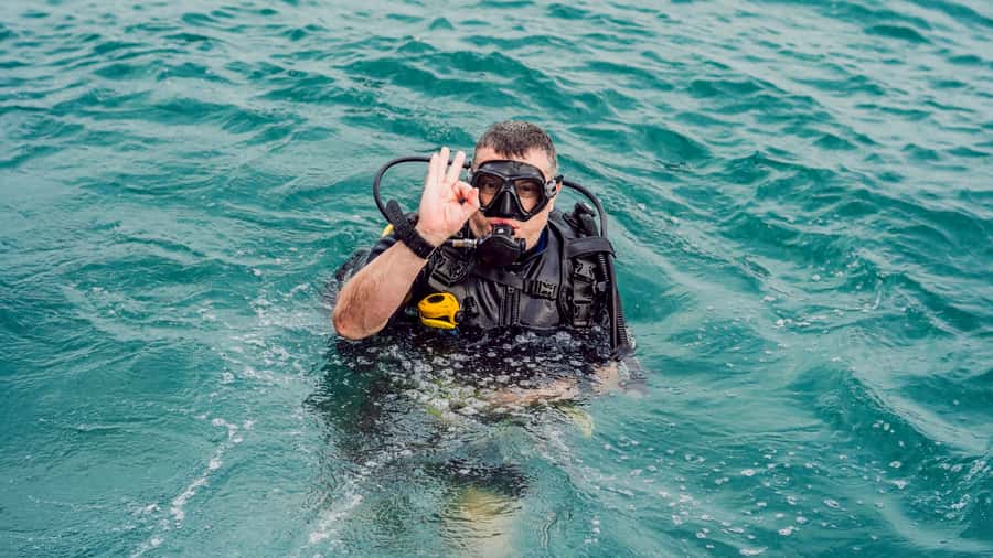 From Dubai: Fujairah Scuba Dive and Snorkeling - Who should book this Fujairah outing?