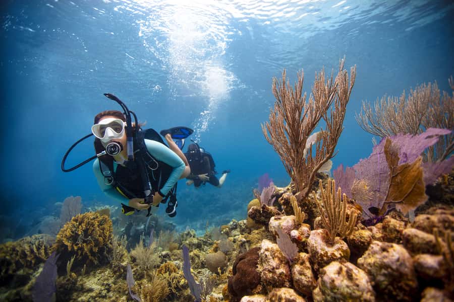 From Dubai: Fujairah Scuba Dive and Snorkeling - Getting fitted with full equipment in Fujairah
