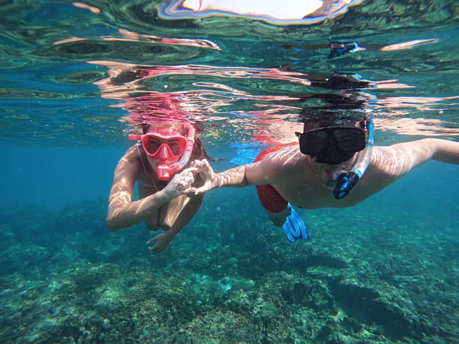 From Dubai: Fujairah Snorkeling with Turtles, Transfer & BBQ - Key points at a glance