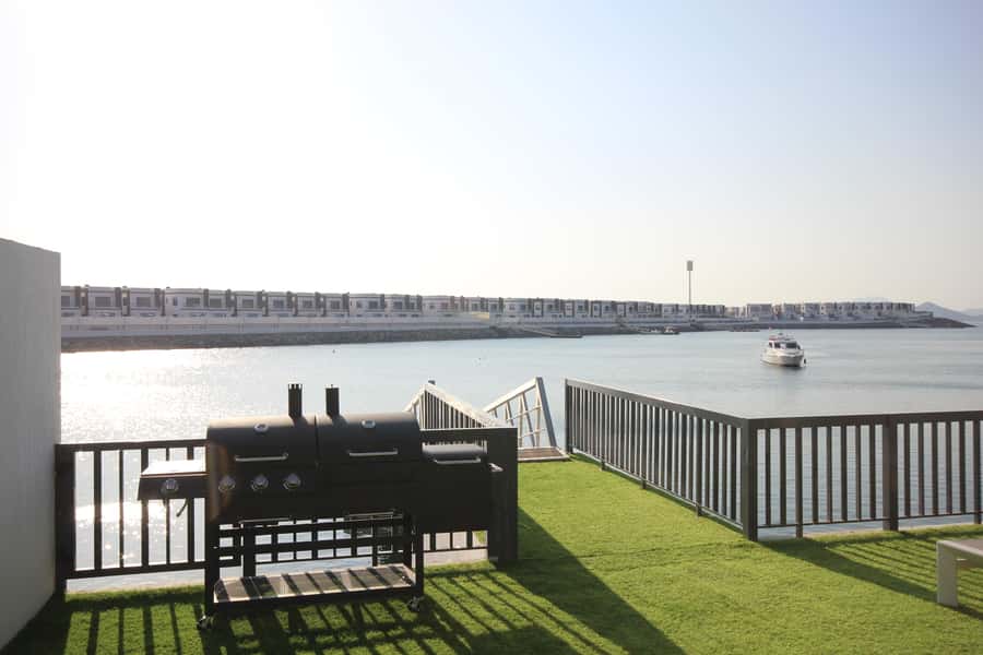 From Dubai: Fujairah Snorkeling with Turtles, Transfer & BBQ - What the water experience feels like for beginners