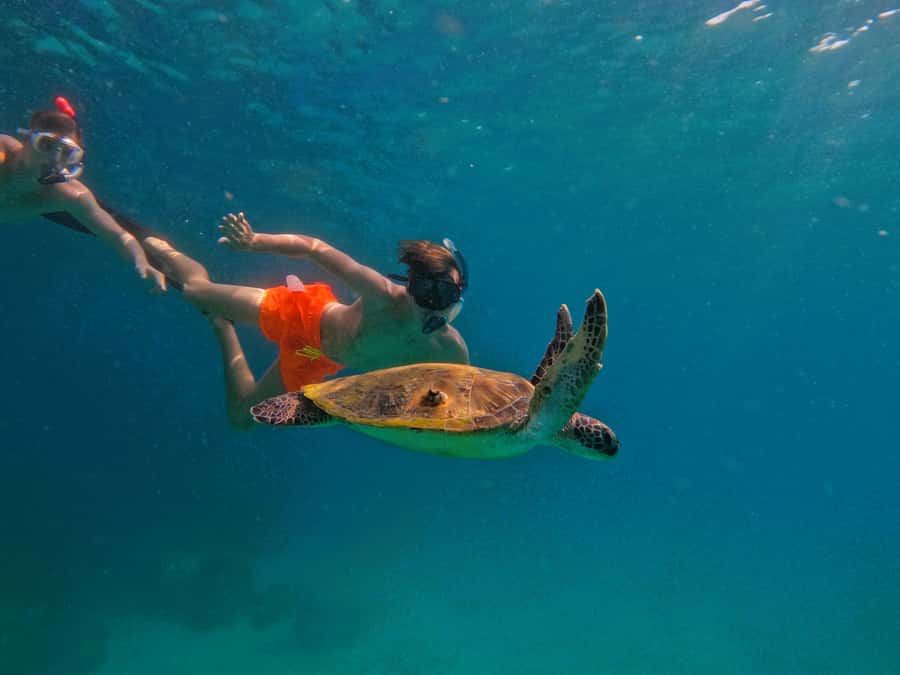 From Dubai: Fujairah Snorkeling with Turtles, Transfer & BBQ - Leaving Dubai for Fujairah